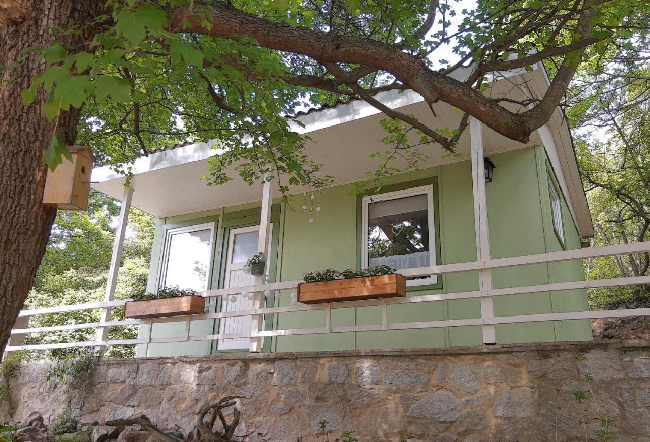 Ferienhaus Paulina *